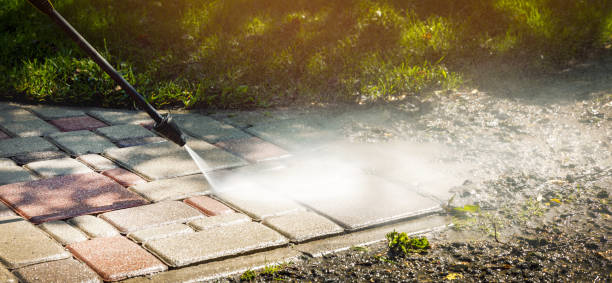 Best Animal Enclosure Cleaning  in Harrisburg, SD